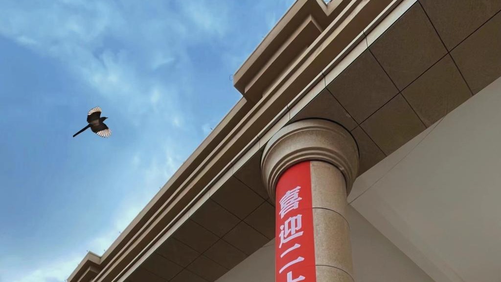 英国上市公司官网365师生喜迎二十大（组图）