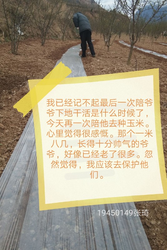 微信图片_20200405102036.jpg
